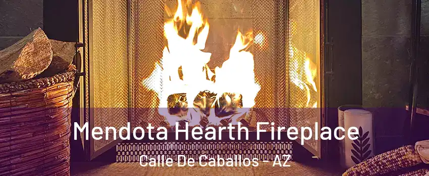 Mendota Hearth Fireplace Calle De Caballos - AZ