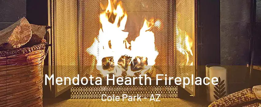 Mendota Hearth Fireplace Cole Park - AZ
