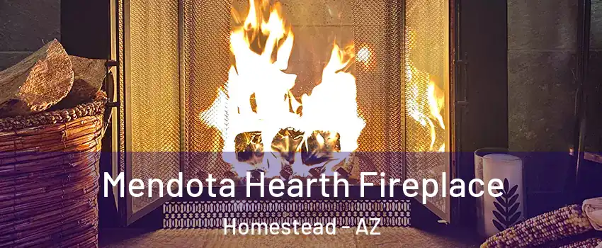 Mendota Hearth Fireplace Homestead - AZ