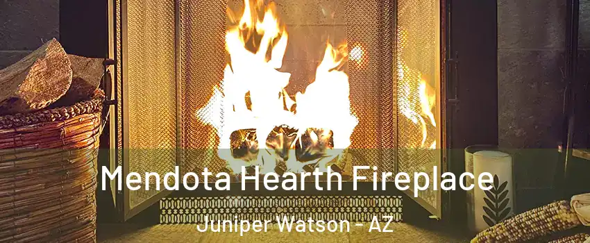 Mendota Hearth Fireplace Juniper Watson - AZ