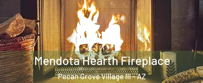 Mendota Hearth Fireplace Pecan Grove Village III - AZ