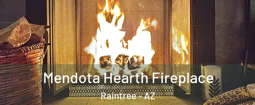 Mendota Hearth Fireplace Raintree - AZ