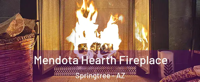 Mendota Hearth Fireplace Springtree - AZ