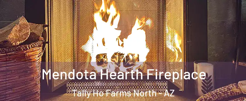 Mendota Hearth Fireplace Tally Ho Farms North - AZ