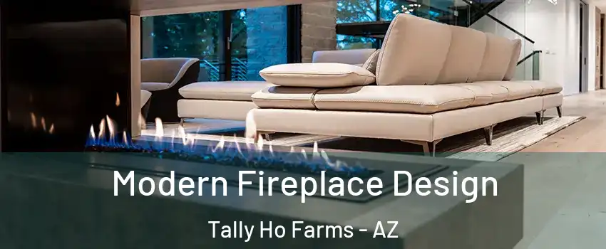 Modern Fireplace Design Tally Ho Farms - AZ