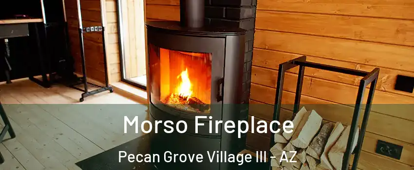 Morso Fireplace Pecan Grove Village III - AZ