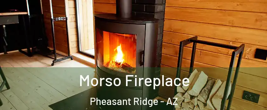 Morso Fireplace Pheasant Ridge - AZ