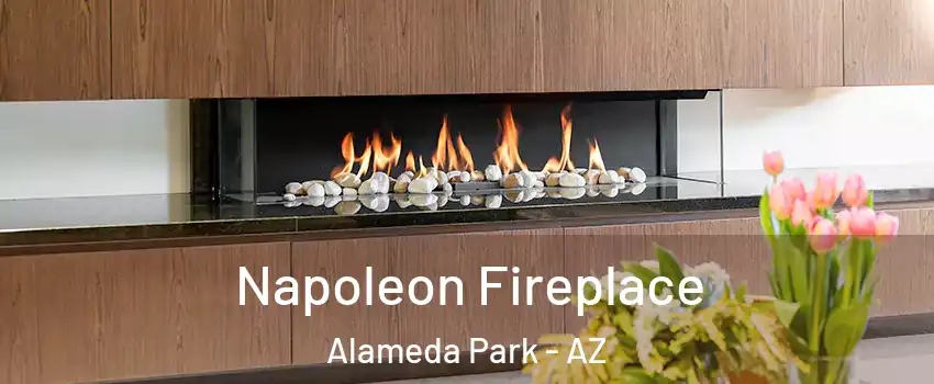 Napoleon Fireplace Alameda Park - AZ