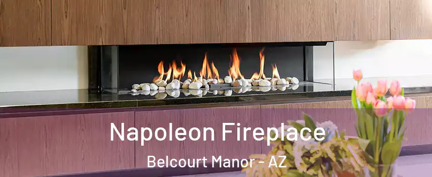 Napoleon Fireplace Belcourt Manor - AZ