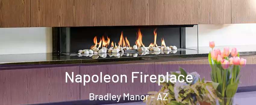 Napoleon Fireplace Bradley Manor - AZ