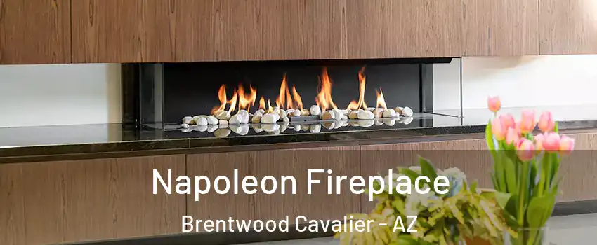 Napoleon Fireplace Brentwood Cavalier - AZ