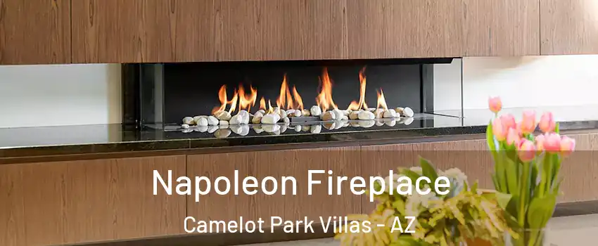 Napoleon Fireplace Camelot Park Villas - AZ
