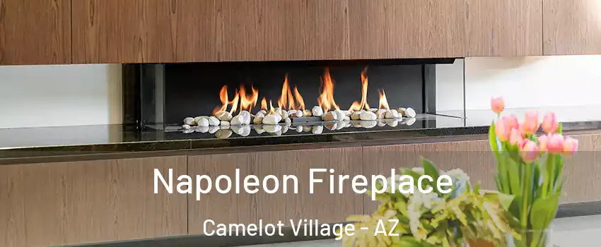 Napoleon Fireplace Camelot Village - AZ