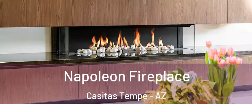 Napoleon Fireplace Casitas Tempe - AZ