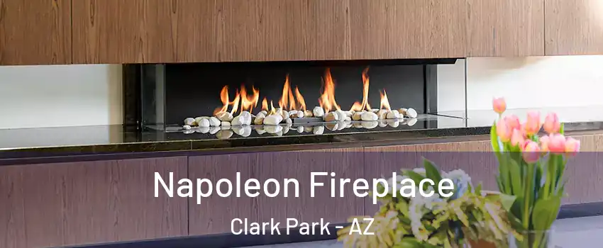 Napoleon Fireplace Clark Park - AZ