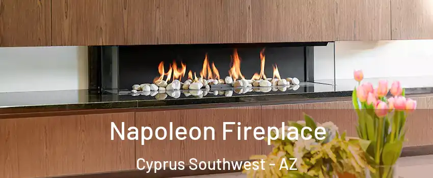 Napoleon Fireplace Cyprus Southwest - AZ