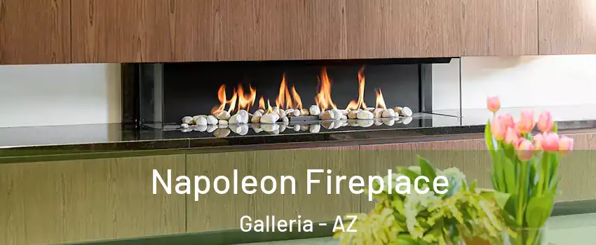 Napoleon Fireplace Galleria - AZ