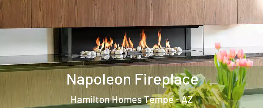 Napoleon Fireplace Hamilton Homes Tempe - AZ