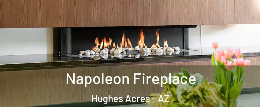 Napoleon Fireplace Hughes Acres - AZ