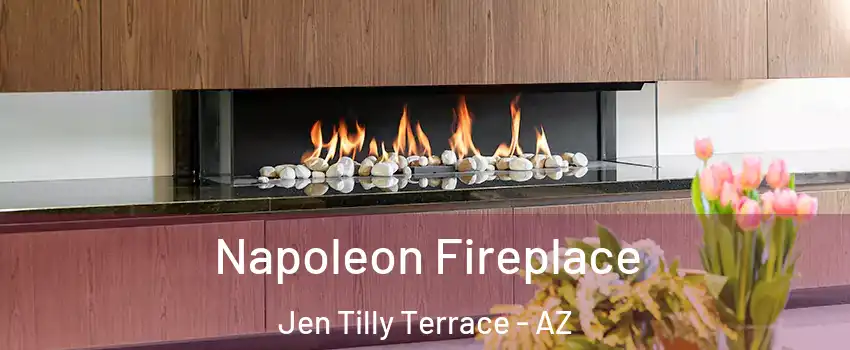 Napoleon Fireplace Jen Tilly Terrace - AZ