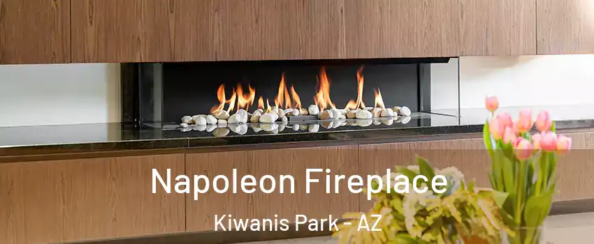 Napoleon Fireplace Kiwanis Park - AZ