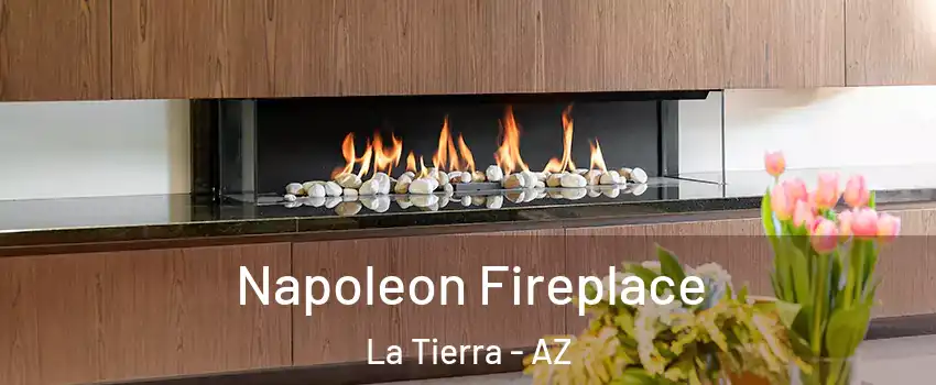 Napoleon Fireplace La Tierra - AZ