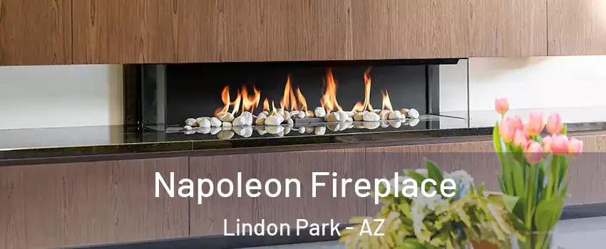 Napoleon Fireplace Lindon Park - AZ
