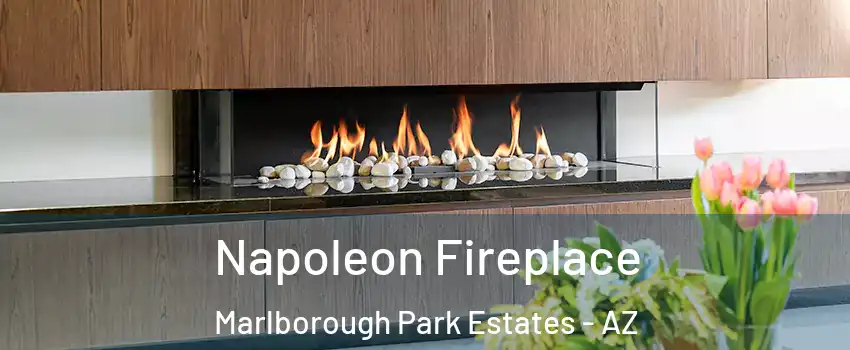 Napoleon Fireplace Marlborough Park Estates - AZ