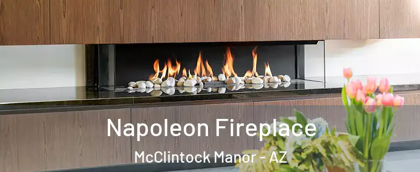 Napoleon Fireplace McClintock Manor - AZ