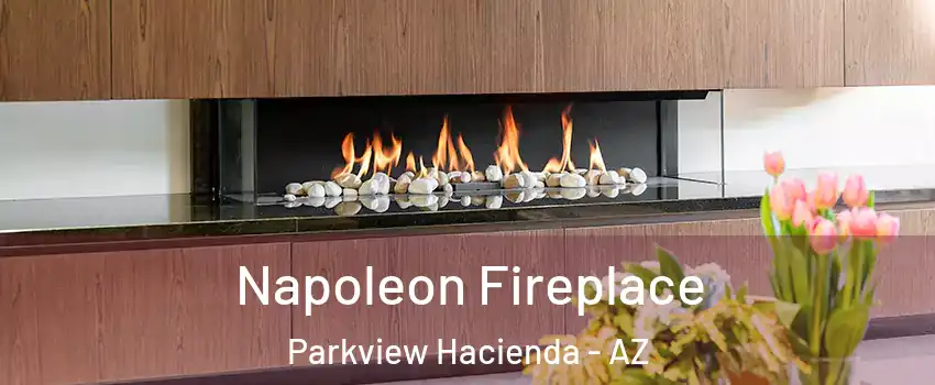 Napoleon Fireplace Parkview Hacienda - AZ