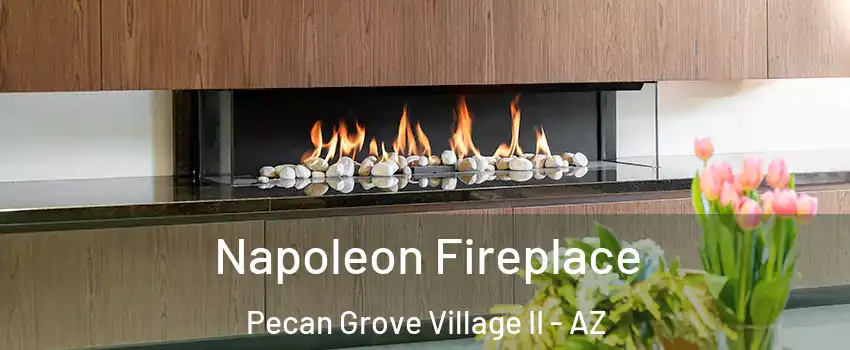 Napoleon Fireplace Pecan Grove Village II - AZ
