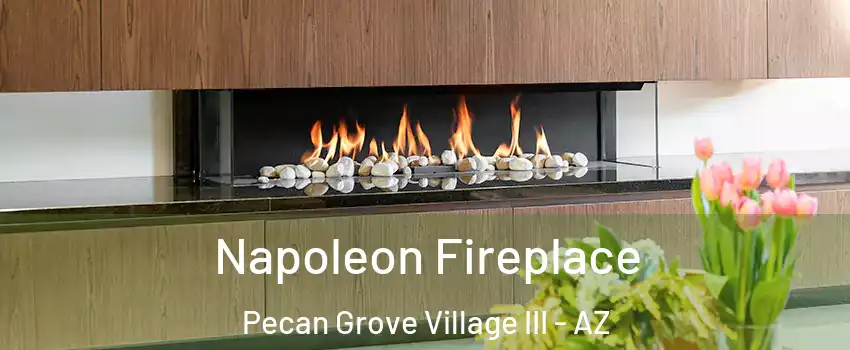 Napoleon Fireplace Pecan Grove Village III - AZ