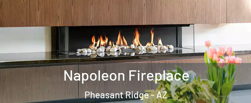 Napoleon Fireplace Pheasant Ridge - AZ