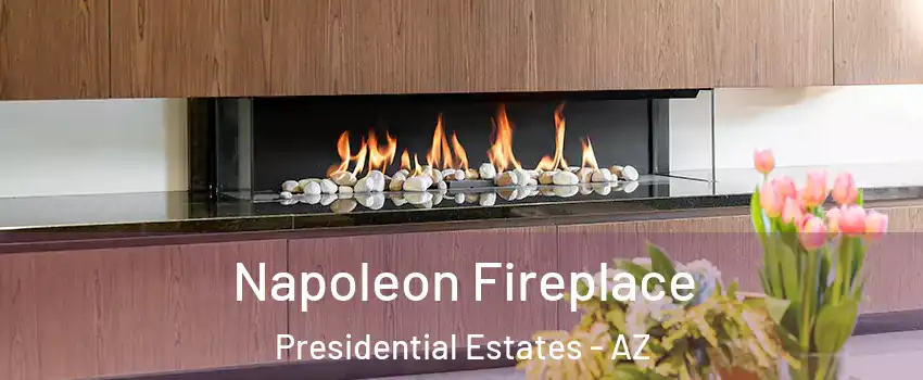Napoleon Fireplace Presidential Estates - AZ
