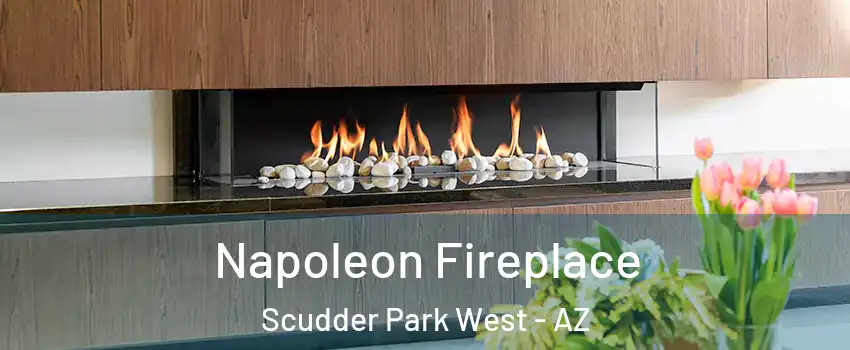 Napoleon Fireplace Scudder Park West - AZ