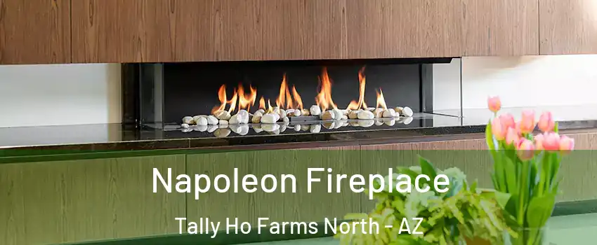 Napoleon Fireplace Tally Ho Farms North - AZ