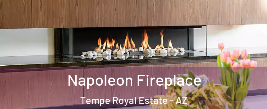 Napoleon Fireplace Tempe Royal Estate - AZ