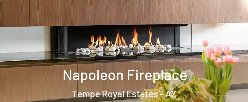 Napoleon Fireplace Tempe Royal Estates - AZ