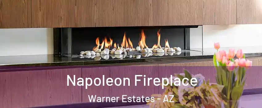 Napoleon Fireplace Warner Estates - AZ