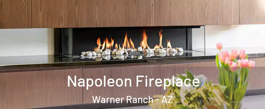 Napoleon Fireplace Warner Ranch - AZ