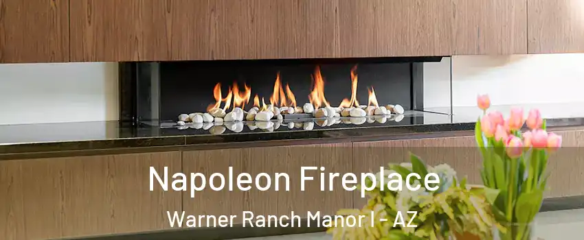 Napoleon Fireplace Warner Ranch Manor I - AZ