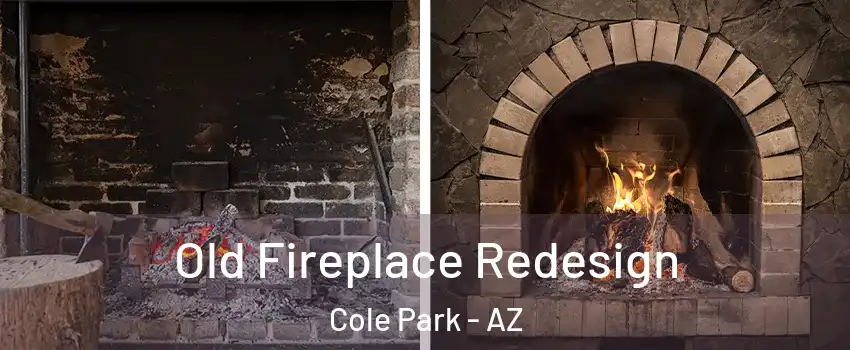 Old Fireplace Redesign Cole Park - AZ