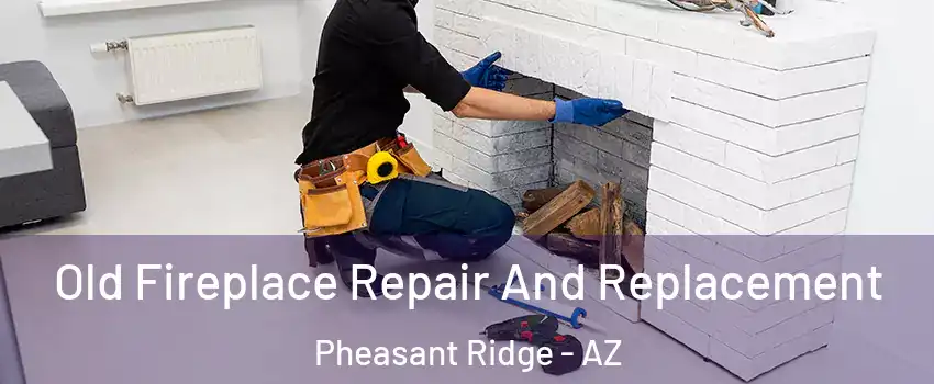 Old Fireplace Repair And Replacement Pheasant Ridge - AZ