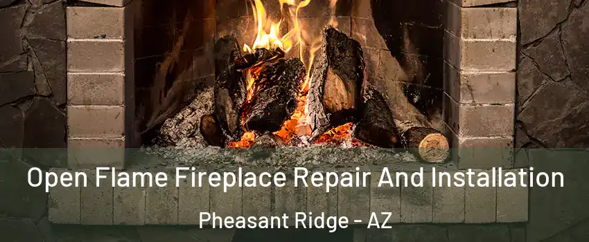 Open Flame Fireplace Repair And Installation Pheasant Ridge - AZ