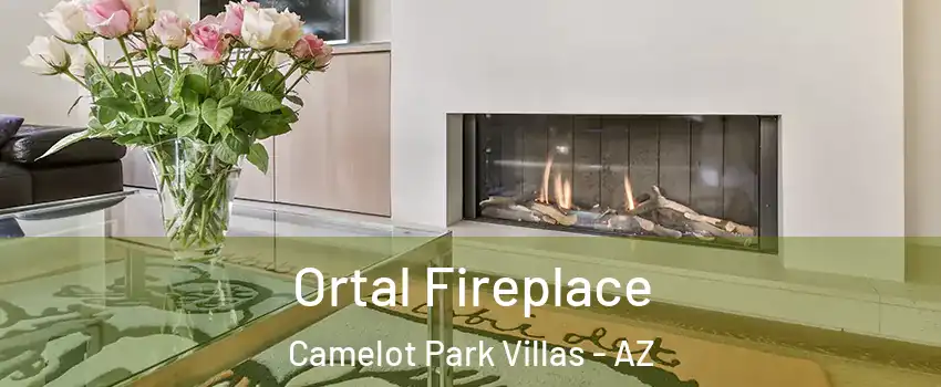 Ortal Fireplace Camelot Park Villas - AZ
