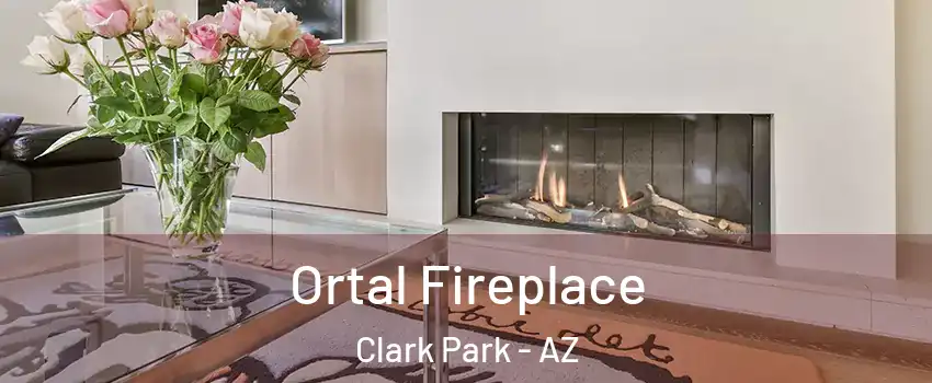 Ortal Fireplace Clark Park - AZ