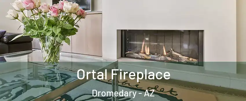 Ortal Fireplace Dromedary - AZ