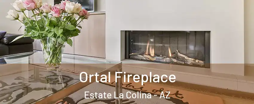 Ortal Fireplace Estate La Colina - AZ