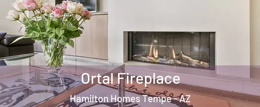Ortal Fireplace Hamilton Homes Tempe - AZ