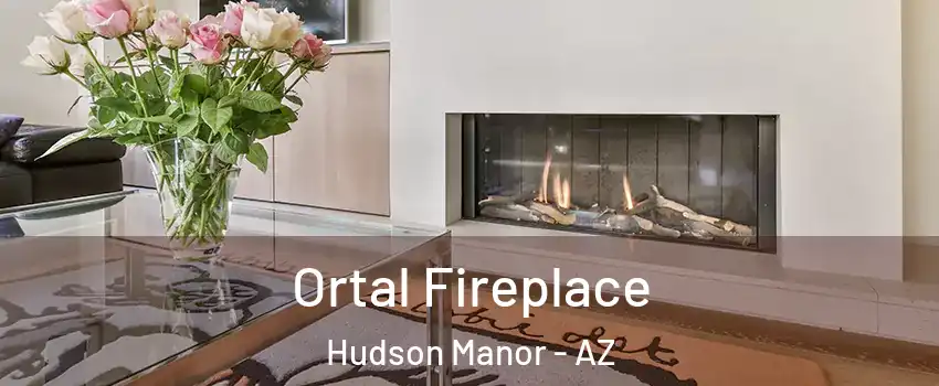 Ortal Fireplace Hudson Manor - AZ
